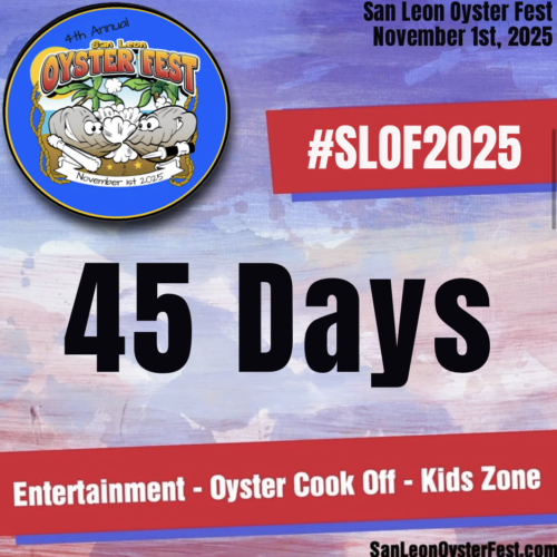 Screenshot 2025-09-17 at 9.54.11 AM